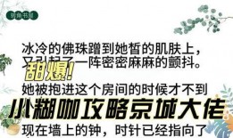 糊咖爆料娱乐圈小说推荐,糊咖爆料，揭开明星背后的秘密